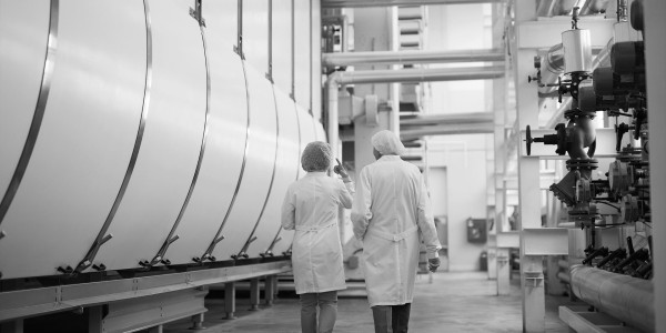 Informes Periciales Seseña · Informes Periciales de Ingeniería